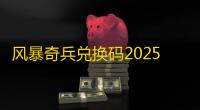 风暴奇兵兑换码2025最新